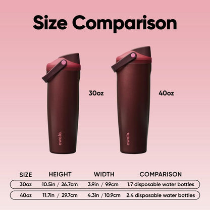 Stainless Steel Water Bottle