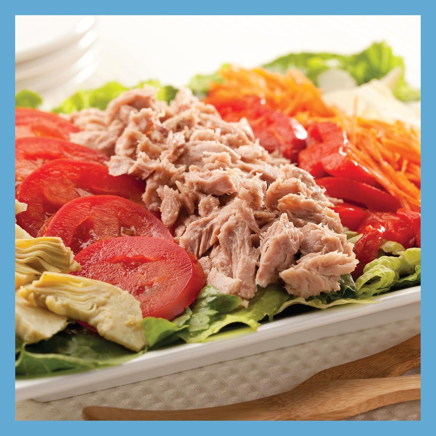 Canned Tuna Fish